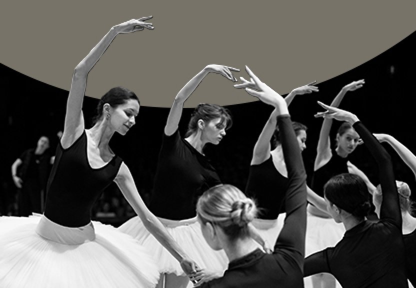 Pirkti bilietus Atvira repeticija: ARLEKINO MILIJONAI Vilnius, Lietuvos nacionalinis operos ir baleto teatras Vasaris 07