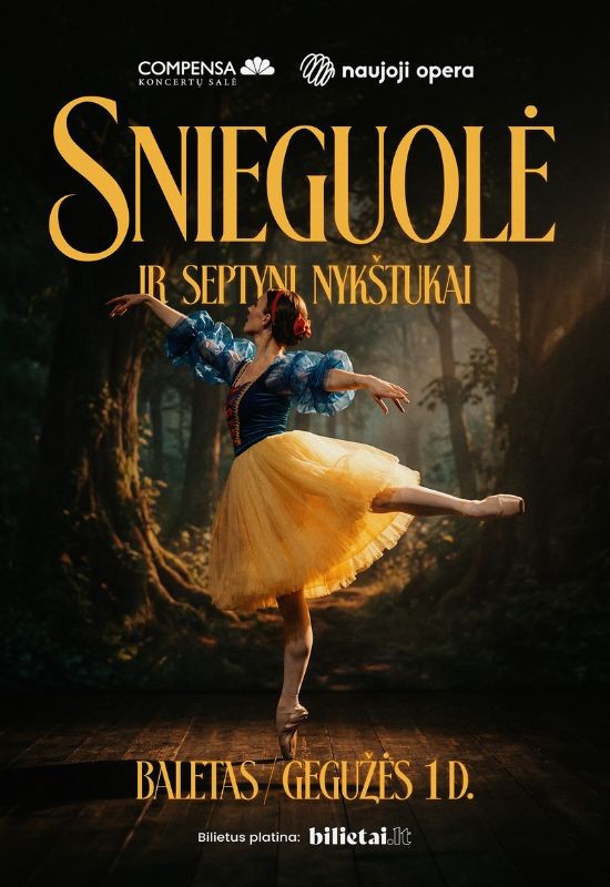 Pirkt biļetes (Vilnius) Baletas 