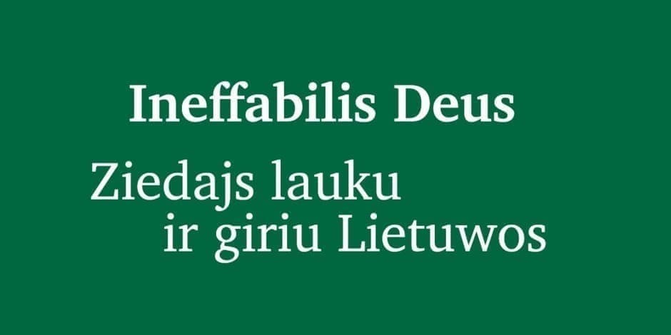 Pirkt biļetes Ekskursija po parodą „Ineffabilis Deus. Ziedajs lauku ir giriu Lietuwos“ Vilnius, Bažnytinio paveldo muziejus Februāris 21