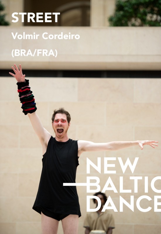Pirkti bilietus Volmir Cordeiro (Brazilija / Prancūzija) - STREET Vilnius, Nacionalinė dailės galerija Balandis 18
