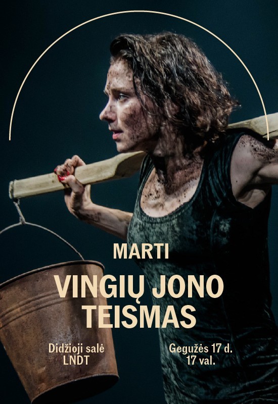 Купить билеты VMT | MARTI x VINGIŲ JONO TEISMAS Vilnius, Lietuvos nacionalinis dramos teatras Май 17