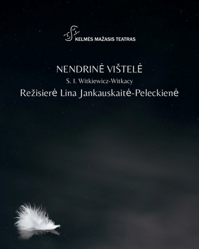 Buy tickets Absurdo komedija pagal Stanisław Ignacy Witkiewicz-Witkacy pjesę „Nendrinė vištelė“ | rež. Lina Jankauskaitė-Peleckienė Šiauliai, Valstybinio Šiaulių dramos teatro Mažoji salė May 13