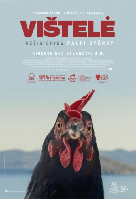 Pirkti bilietus Vištelė | Garsas Panevėžys, Stasys Museum Balandis 12