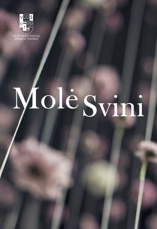 Купить билеты VŠDT premjera | MOLĖ SVINI | rež. Gytis Padegimas Šiauliai, Valstybinis Šiaulių dramos teatras Май 30