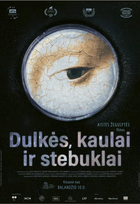 Купить билеты Dulkės, kaulai ir stebuklai | Garsas Panevėžys, Stasys Museum Апрель 21