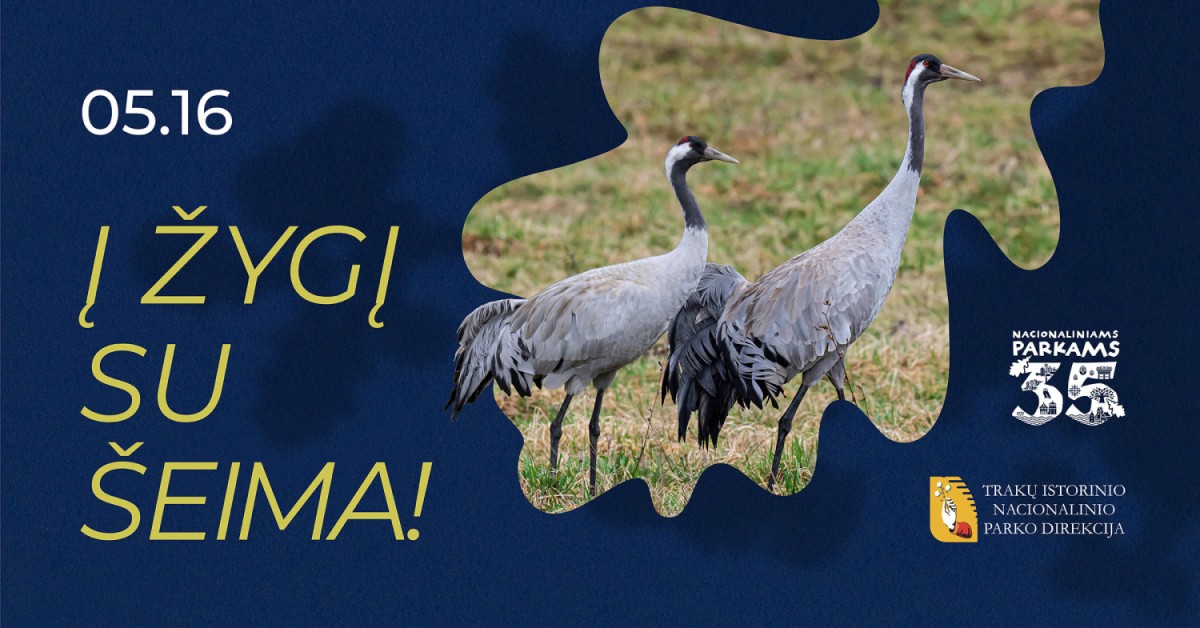 Купить билеты Į parką su šeima. Nacionaliniams parkams 35 Trakai, Bražuolės piliakalnis Май 16