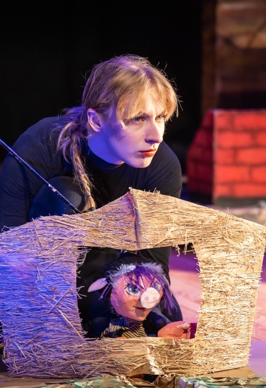 Pirkt biļetes Trys paršeliai pasitinka naujus metus Vilnius, Raganiukės teatras Decembris 31