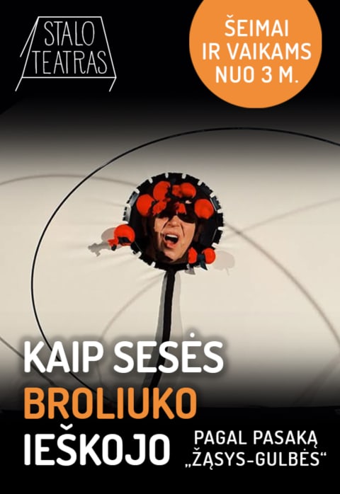 Pirkti bilietus Spektaklis „Kaip sesės broliuko ieškojo“ Vilnius, Lietuvos teatro, muzikos ir kino muziejus Spalis 05