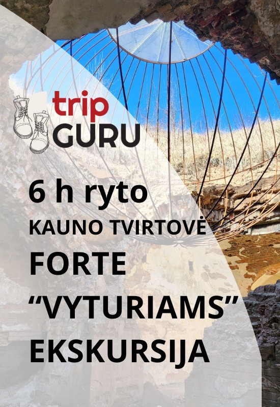 Купить билеты 6 h ryto 