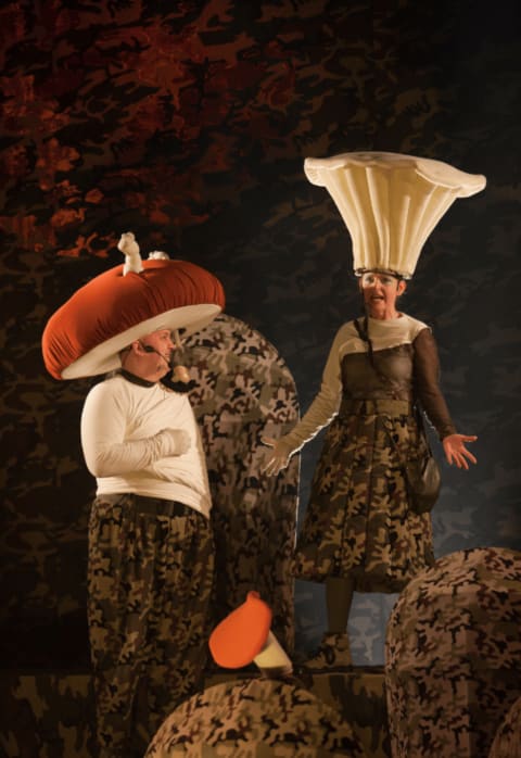 Купить билеты GRYBŲ KARAS || Muzikinis spektaklis vaikams Vilnius, Vilniaus teatras „Lėlė“ Сентябрь 06