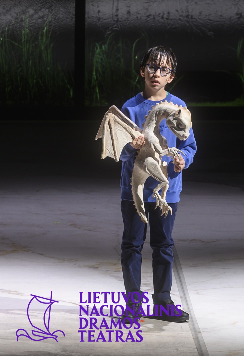 Pirkti bilietus DALYKAI, KURIŲ NEIŠDRĮSAU PASAKYTI, IR DABAR JAU PER VĖLU. Dramaturgė ir režisierė Kamilė Gudmonaitė Vilnius, Lietuvos nacionalinis dramos teatras Gruodis 13