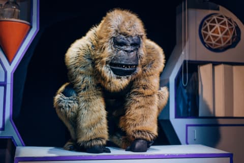 Pirkti bilietus EVOLIUCIJA || Mokslinis nuotykis visai šeimai Vilnius, Vilniaus teatras „Lėlė“ Spalis 11