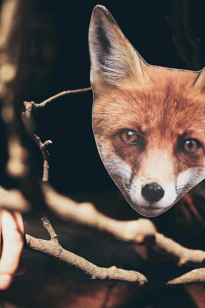 Pirkti bilietus Lėlių spektaklis KAD TAVE ŽĄSIS! Klaipėda, Klaipėdos lėlių teatras Lapkritis 15