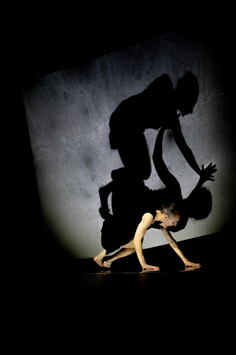 Pirkti bilietus Šokio ir šešėlių monospektaklis suaugusiesiems KONTŪRAI Klaipėda, Klaipėdos lėlių teatras Vasaris 04